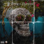 Broken & Depressed - Mufasa Rex Song Download